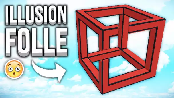 LES ILLUSIONS CHELOUES DE MINECRAFT ?!