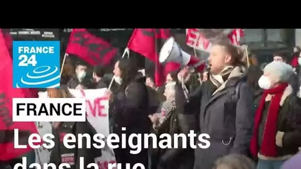 France : une mobilisation des enseignants attendue en baisse malgré "L'Ibizagate" • FRANCE 24