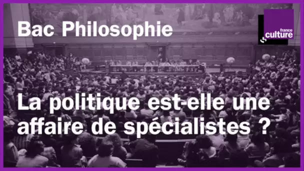 BAC PHILO révisions - La politique est-elle une affaire de spécialistes ?