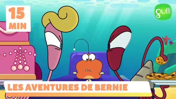 Les aventures de Bernie - Compilation épisodes 16, 17 et 18 (épisodes en entier)