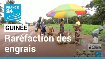 Guinée : la production agricole menacée à cause de la raréfaction des engrais • FRANCE 24
