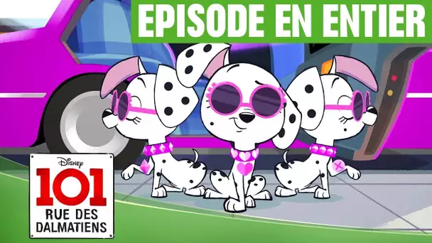 101, rue des Dalmatiens - Les trois divas (épisode 9)