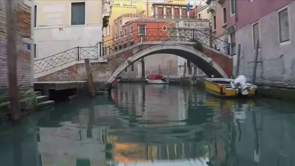Les images rarissimes des canaux de Venise complètement déserts