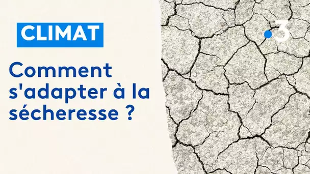 Comment s'adapter à la sécheresse et aux restrictions d'eau ?