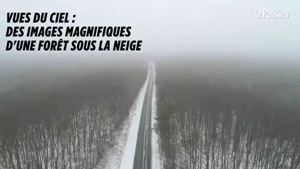 Magique : la forêt de Rambouillet sous la neige, filmée depuis un drone