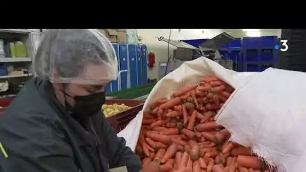 Des paniers de légumes hors calibre pour lutter contre le gaspillage alimentaire.