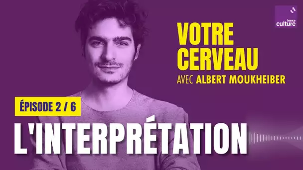 Votre cerveau stabilise l'ambiguïté : l'importance de l'interprétation, avec Albert Moukheiber