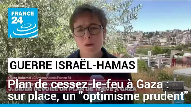 Plan de cessez-le-feu à Gaza : sur place, un "optimisme prudent" • FRANCE 24