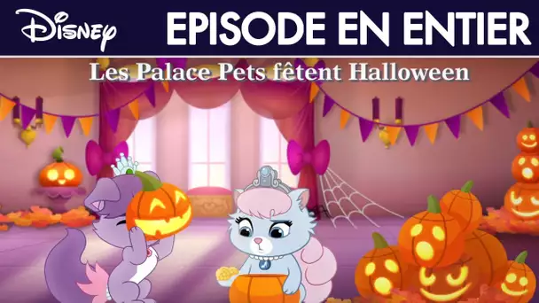 Le Petit Royaume des Palace Pets - Les Palace Pets fêtent Halloween I Disney