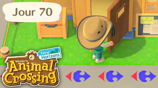 Jour 69 | Carrefour : premier sur les Navets ! | Animal Crossing : New Horizons