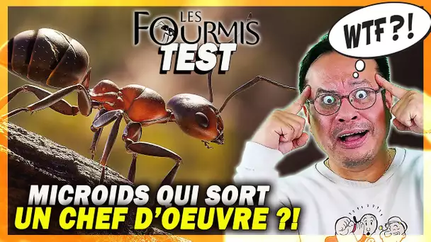 J'ai fini Les Fourmis : l'un des meilleurs et plus beaux jeux de l'année ? (TEST + GAMEPLAY 4K)