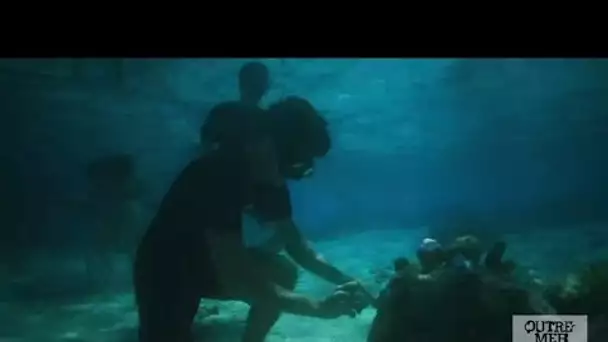En Polynésie, des jeunes protègent les coraux du lagon de Moorea • FRANCE 24