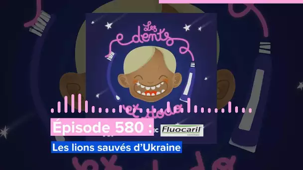 Les dents et dodo - “Épisode 580 : Les lions sauvés d’Ukraine”