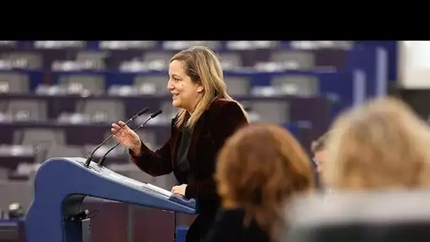 La loi d'amnistie espagnole suscite un débat animé au Parlement européen