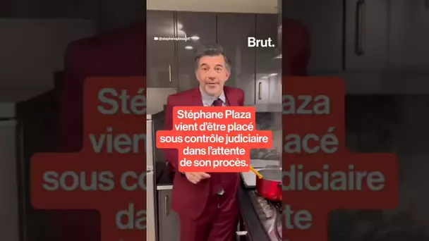 Stéphane Plaza placé sous contrôle judiciaire dans l'attente de son procès