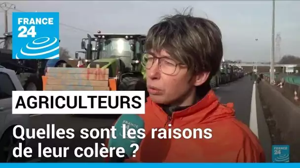 Agriculteurs français en colère : quelles sont leurs revendications ? • FRANCE 24