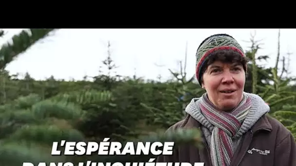 Comment cette productrice de sapins fait face à la crise sanitaire et écologique