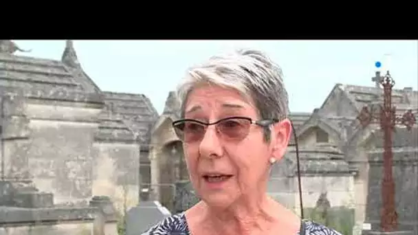 Angoulême : le cimetière des Bardines envahi par les herbes hautes