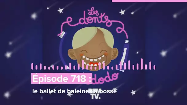 Les dents et dodo - “Épisode 718 : Le ballet de baleines à bosse”