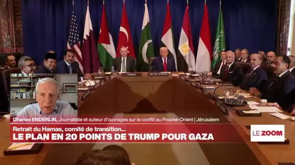 Le Hamas peut-il accepter le plan de Donald Trump pour la paix à Gaza ? • FRANCE 24