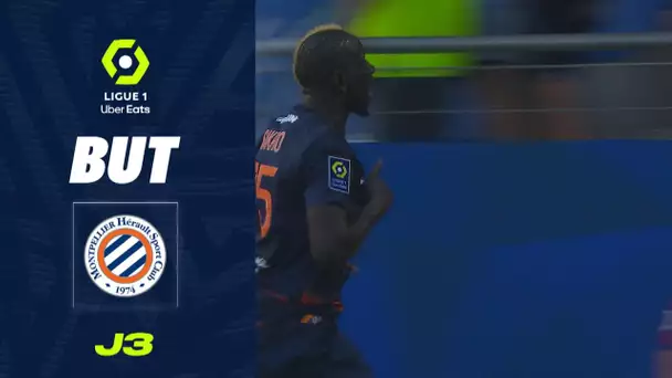 But Mamadou SAKHO (39' - MHSC) MONTPELLIER HÉRAULT SC - AJ AUXERRE (1-2) 22/23