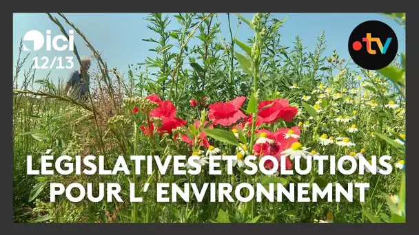 Législatives 2024 : les associations environnementales en attente de solutions