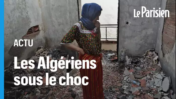 Recul des incendies en Kabylie : « C’est la solidarité algérienne qui a triomphé »