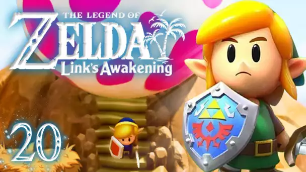 Zelda Link's Awakening HD : Direction le boss final ! #20