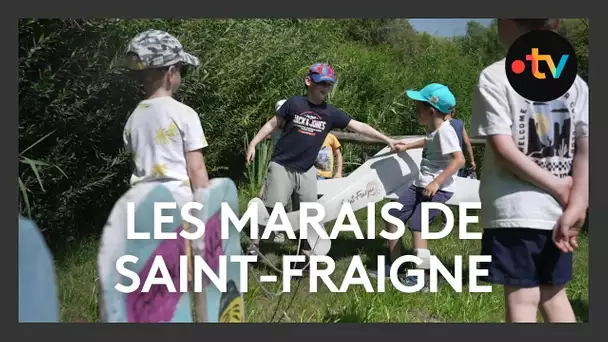 A la découverte du marais de Saint Fraigne (Charente)