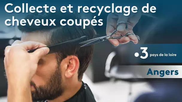 Collecte de cheveux coupés des coiffeurs