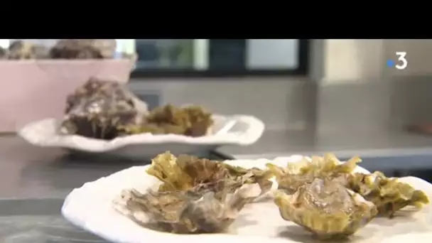 Sète : les huîtres colorées de l'Étang de Thau, entre gastronomie et art !