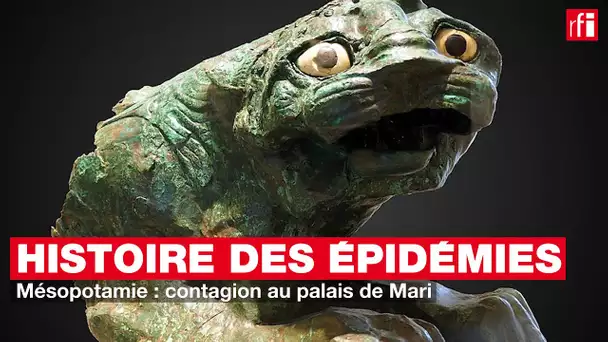 Mésopotamie : contagion au palais de Mari - Petite histoire et grande épidémie #13