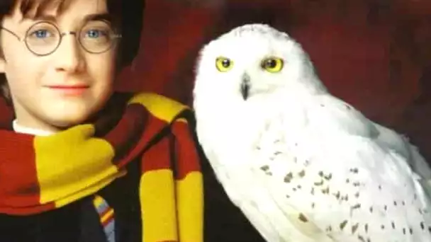 Harry Potter : pourquoi Hedwig a-t-elle été tuée dans les Reliques de la Mort ?