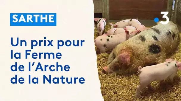 "Porc de Bayeux" : le premier prix pour la Ferme de L'Arche de la Nature