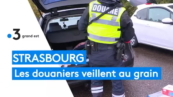 Douaniers : la lutte contre les trafics et la contrefaçon à Strasbourg