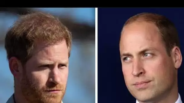 Le « sens politique » du prince William suscite un regain de popularité après les « attaques » du pr