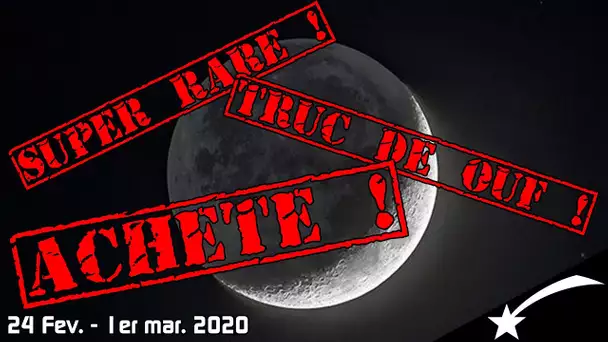 🌠LA SUPER LUNE DE CENDRE ! (non) - EA 24 fev. - 1er mar. 2020