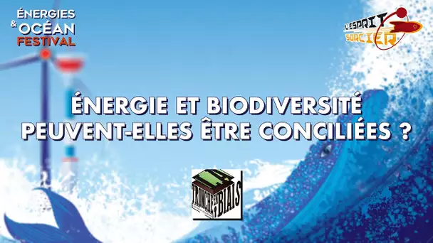 Énergie et biodiversité peuvent-elles être conciliées ? - Festival Énergies & Océan