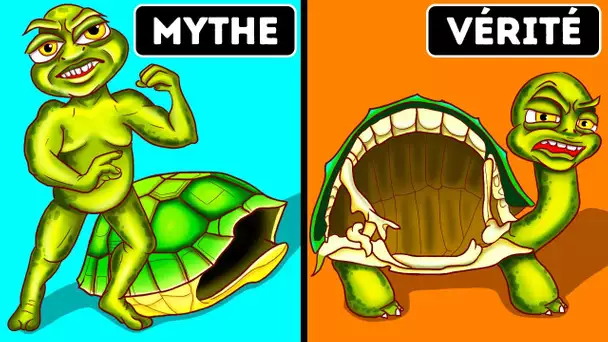 Les tortues ne peuvent pas quitter leur carapace + 70 faits sur tout