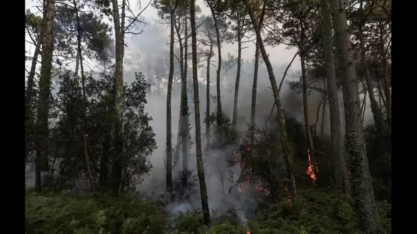 Gironde : Les incendies ont ravagé 3.700 hectares depuis mardi