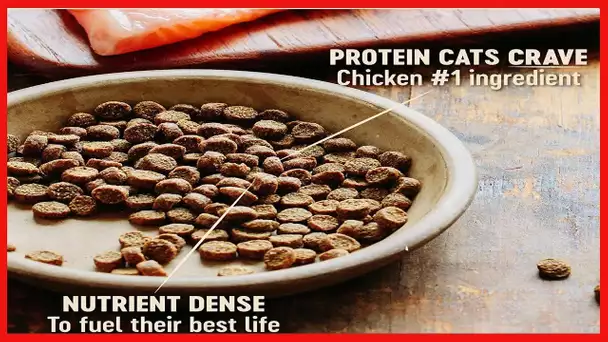 Wellness CORE Grain Free Dry Cat Food, High Protein Cat Food