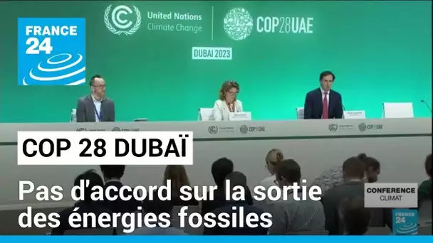 Bilan mi-parcours COP 28 : toujours pas d'accord sur la sortie des énergies fossiles • FRANCE 24