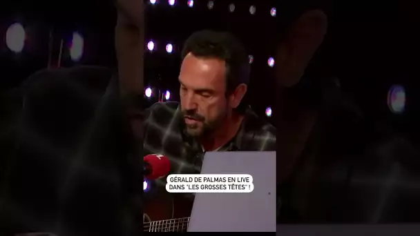 Gérald De Palmas en live dans "Les Grosses Têtes" !