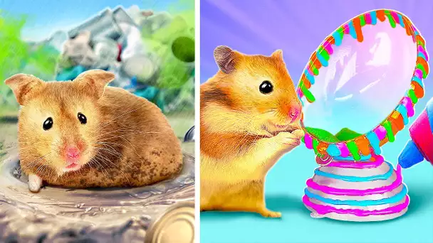 MAISON DIY MINIATURE POUR UN HAMSTER || CONSTRUIS UNE MAISON POUR TES CHATS ET TES CHIENS