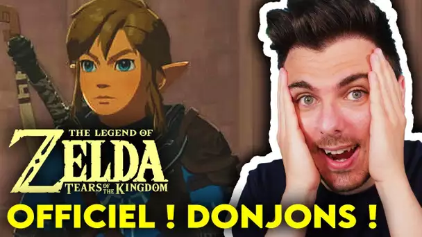 OFFICIEL ! Zelda TOTK DONJONS à l'ANCIENNE Confirmés ! (BOTW 2)