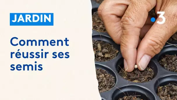 Jardin : comment réussir ses semis