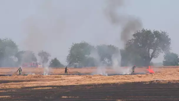Incendies : Whats'app Pompiers et agriculteurs dans la boucle