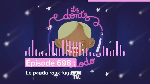 Les dents et dodo - “Épisode 698 : Le panda roux fugueur”