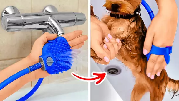 INCROYABLES ASTUCES ET GADGETS POUR LES MAÎTRES D'ANIMAUX