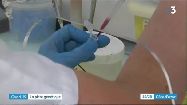 Le centre Lacassagne met en évidence une prédisposition génétique dans l'infection à la Covid-19